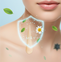 <strong>Absorption Rapide</strong>